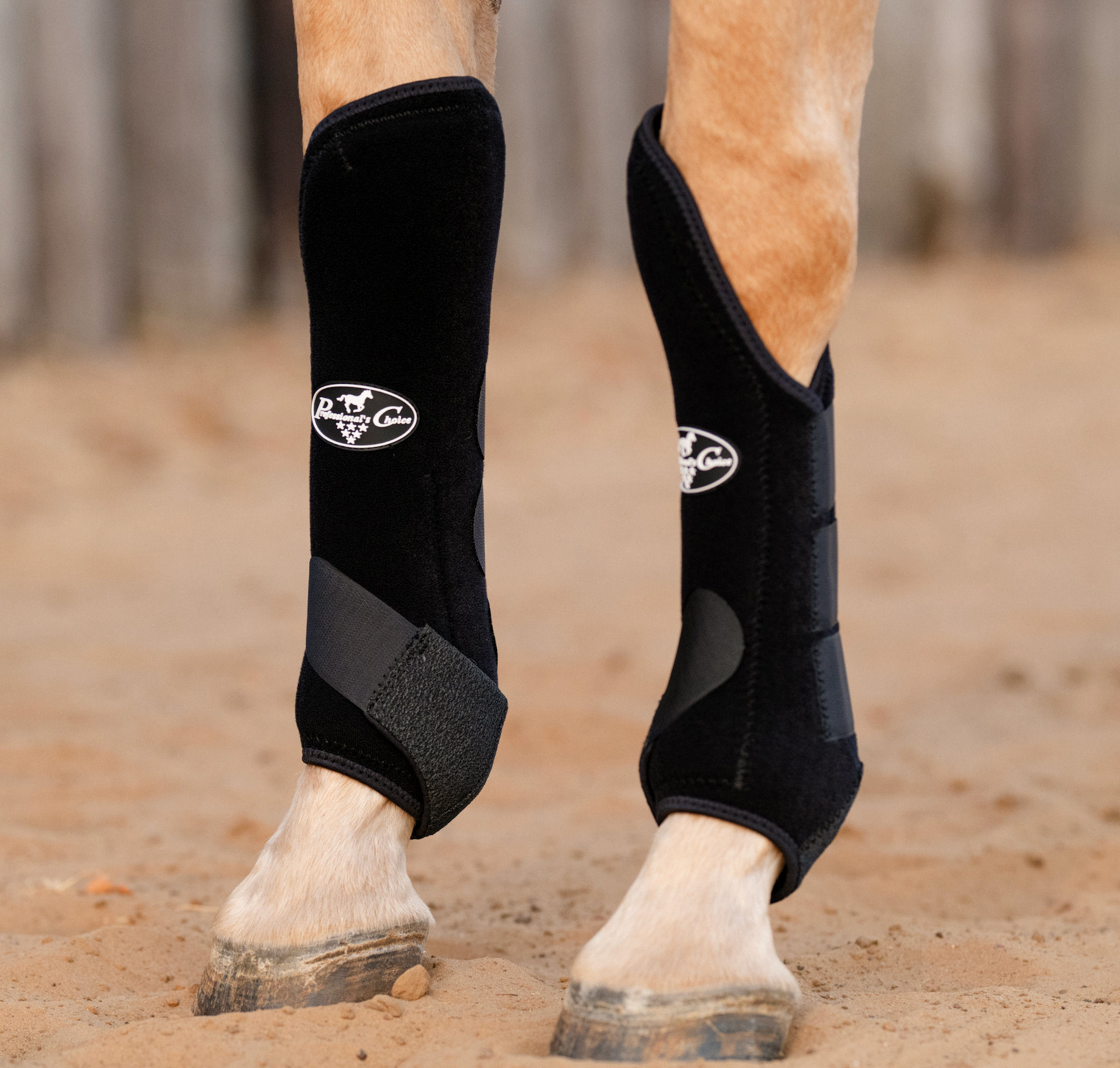Hannah's Custom Tack & Boutique