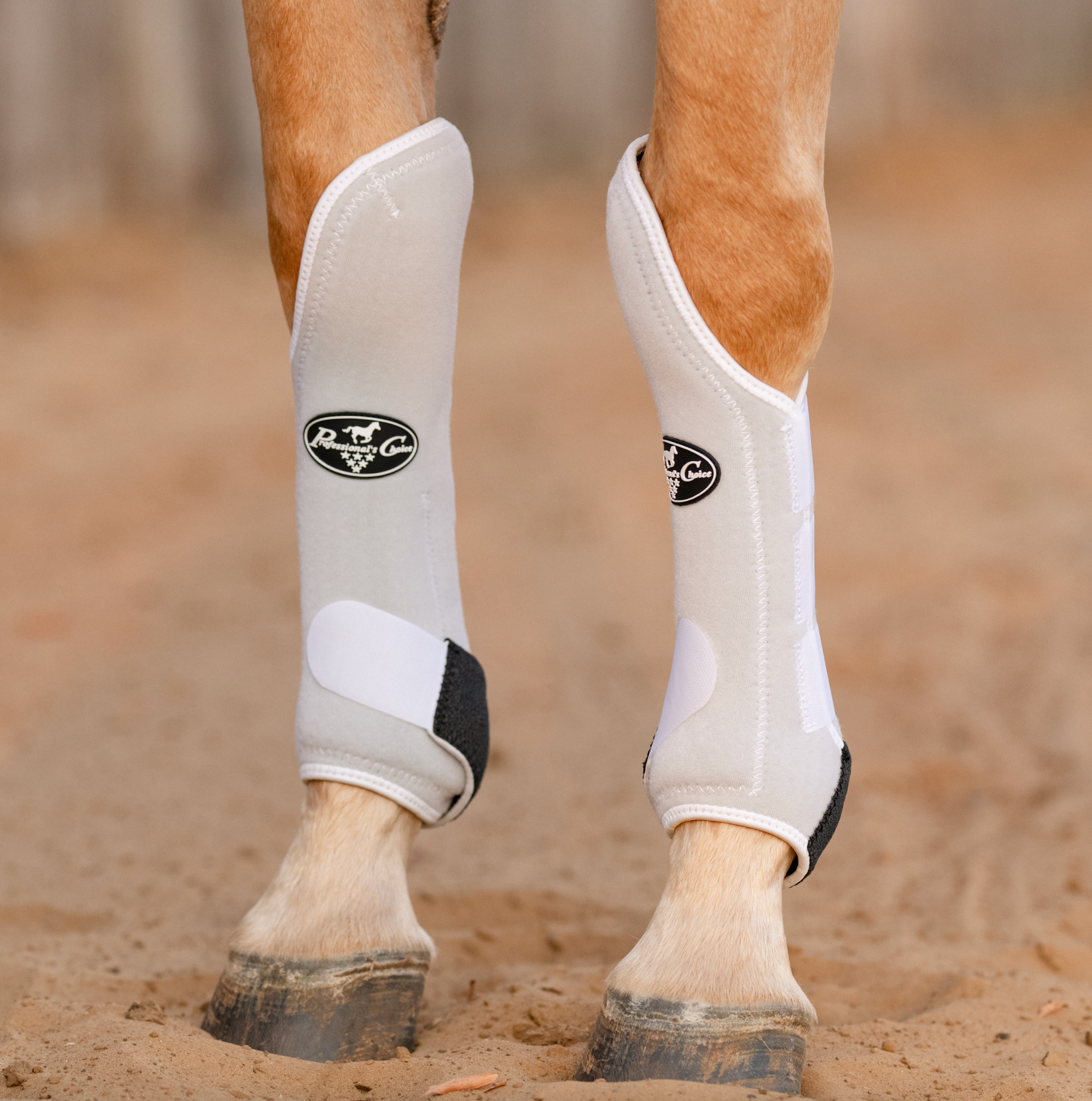 Hannah's Custom Tack & Boutique