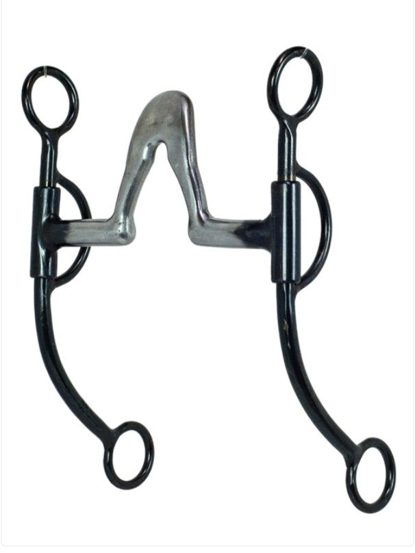 Hannah's Custom Tack & Boutique