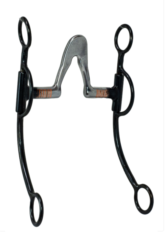Hannah's Custom Tack & Boutique