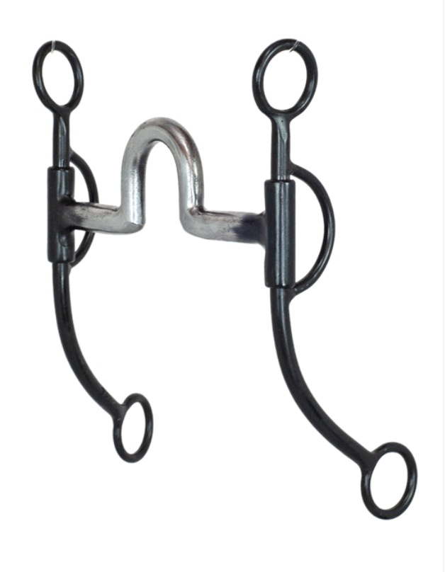 Hannah's Custom Tack & Boutique